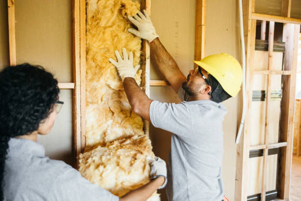 Best Blown-In Insulation  in Gaffney, SC